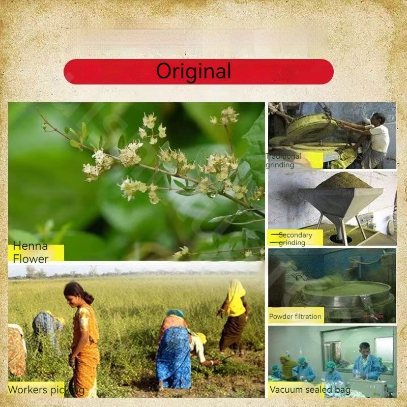 Natural Pure Plant Henna Powde - đánh giá và giá Indigo Dye Kit