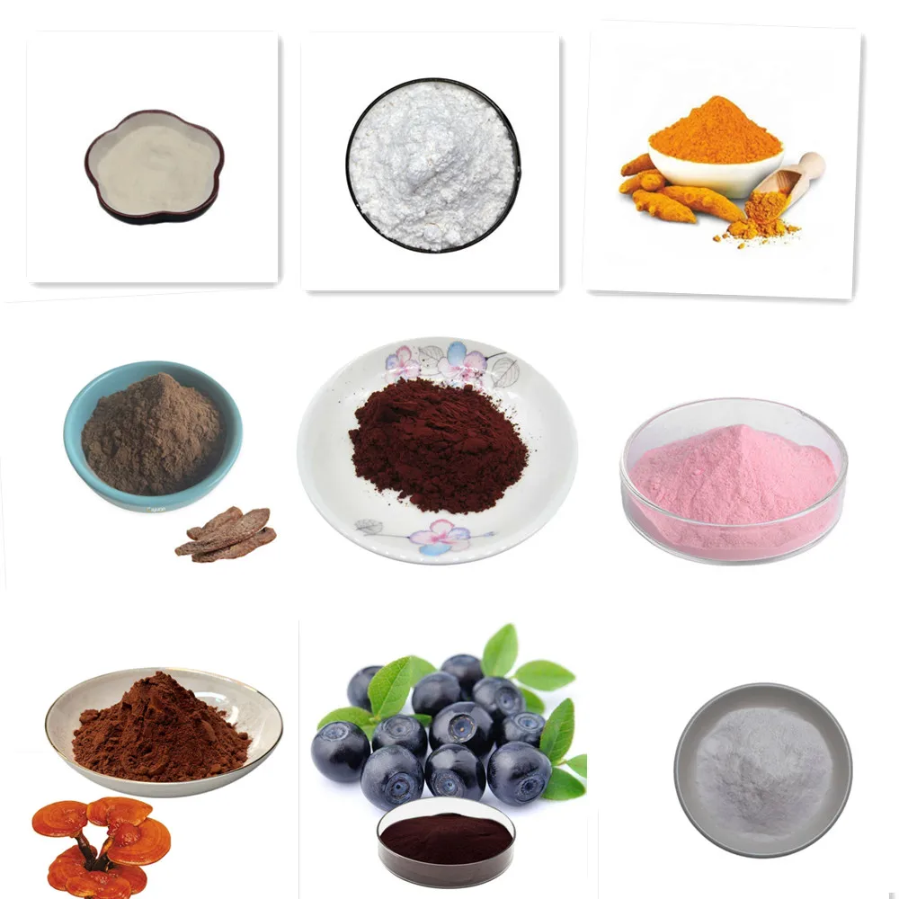 Free Shipping Natural Organic  - đánh giá và giá Indigo Dye Kit